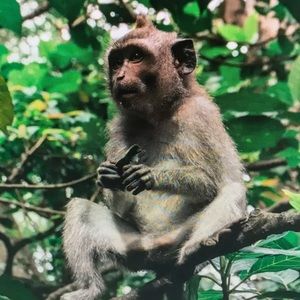 Meet your Posher, Theodore